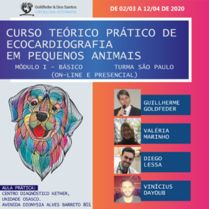 Curso-teórico-prático-de-ecocardiografia-em-pequenos-animais-Módulo-I-Básico-On-Line-e-Presencial-FEVEREIRO2020